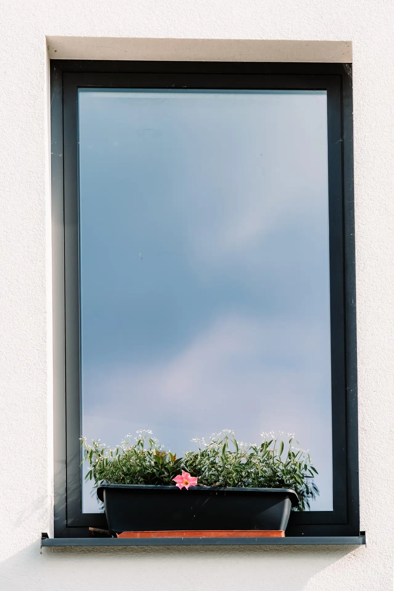 Gros plan sur un chassis noir en aluminium, au design moderne et à l'isolation renforcée