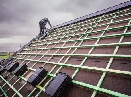 STM construct cocooon toiture
